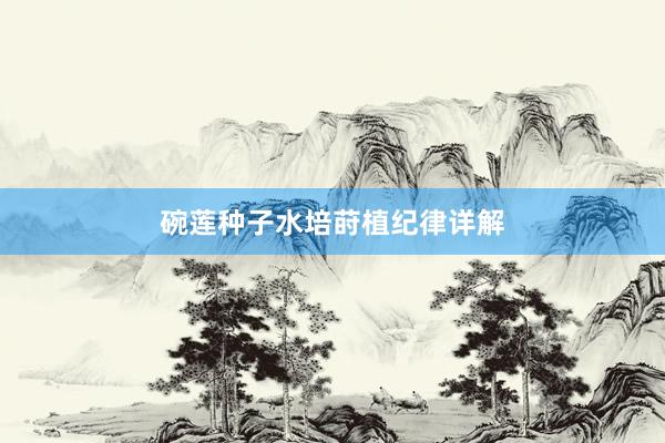 碗莲种子水培莳植纪律详解